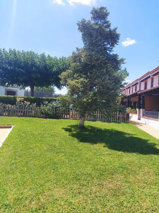 Luque Casa Rural Alamillo מראה חיצוני תמונה