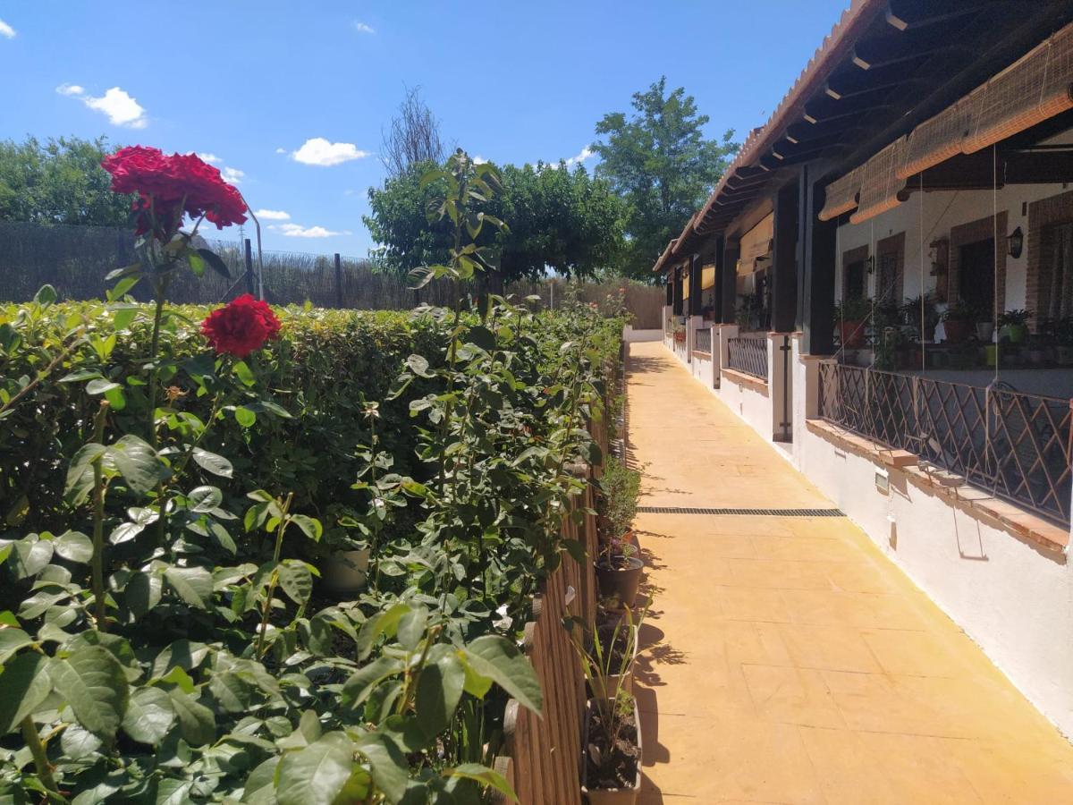 Luque Casa Rural Alamillo מראה חיצוני תמונה